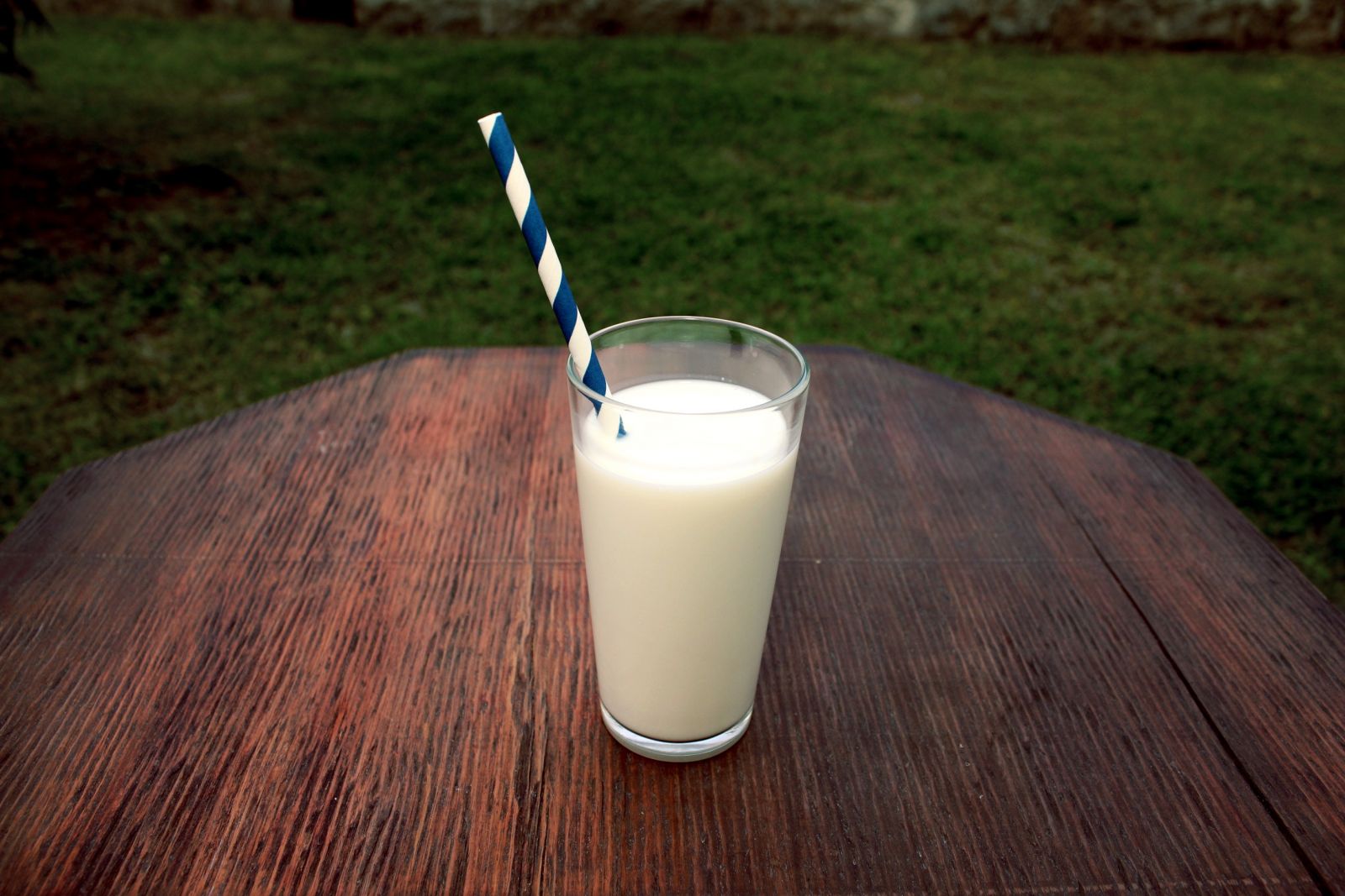 Journée mondiale du lait : l'attractivité d'une filière